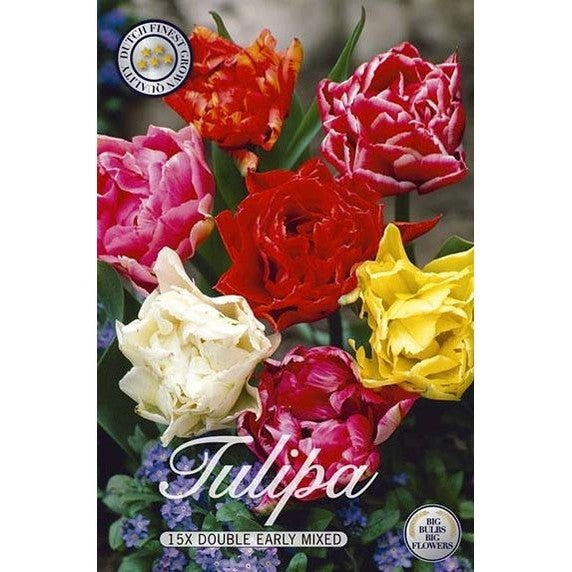 Tulpan Dubbel Tidig Mix 15-pack